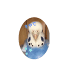 piiさん2（個別スタンプ：2）