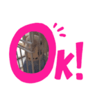 piiさん2（個別スタンプ：4）