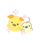 子ブタandひよこ（個別スタンプ：1）