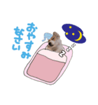 バムセ＆ぽえ☆（個別スタンプ：3）