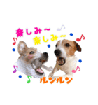バムセ＆ぽえ☆（個別スタンプ：4）