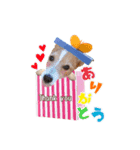 バムセ＆ぽえ☆（個別スタンプ：5）