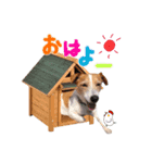 バムセ＆ぽえ☆（個別スタンプ：6）