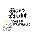 大人な日常会話プードル冬（個別スタンプ：1）