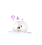 毎日使えるかわいいアザラシスタンプ（個別スタンプ：13）