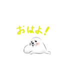毎日使えるかわいいアザラシスタンプ（個別スタンプ：17）