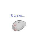 毎日使えるかわいいアザラシスタンプ（個別スタンプ：21）