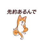 ゆるさイヌ2.1（個別スタンプ：3）