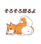 ゆるさイヌ2.1（個別スタンプ：10）