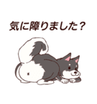 ゆるさイヌ2.1（個別スタンプ：11）