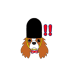 キャバリア ロンドン（個別スタンプ：13）