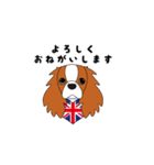 キャバリア ロンドン（個別スタンプ：14）