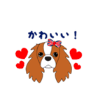 キャバリア ロンドン（個別スタンプ：16）