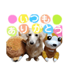 ★ミニチュアダックス★アン君のスタンプ2（個別スタンプ：28）