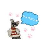 ☆ミニシュナ☆メイのスタンプ2（個別スタンプ：10）