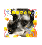 ☆ミニシュナ☆メイのスタンプ2（個別スタンプ：14）