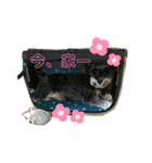 ☆ミニシュナ☆メイのスタンプ2（個別スタンプ：25）