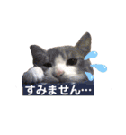 海ちゃんたち（個別スタンプ：21）