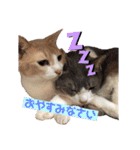 海ちゃんたち（個別スタンプ：32）