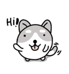 小さな犬 :)（個別スタンプ：1）