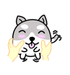 小さな犬 :)（個別スタンプ：4）
