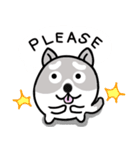 小さな犬 :)（個別スタンプ：5）