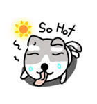 小さな犬 :)（個別スタンプ：11）