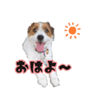 エブリデイ琳ちゃん（個別スタンプ：1）