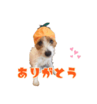エブリデイ琳ちゃん（個別スタンプ：4）
