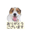 エブリデイ琳ちゃん（個別スタンプ：5）