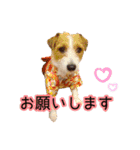 エブリデイ琳ちゃん（個別スタンプ：11）