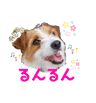 エブリデイ琳ちゃん（個別スタンプ：16）