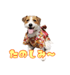 エブリデイ琳ちゃん（個別スタンプ：20）