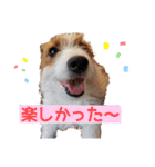 エブリデイ琳ちゃん（個別スタンプ：21）