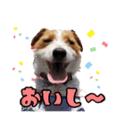 エブリデイ琳ちゃん（個別スタンプ：22）