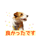 エブリデイ琳ちゃん（個別スタンプ：23）