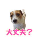 エブリデイ琳ちゃん（個別スタンプ：25）