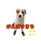 エブリデイ琳ちゃん（個別スタンプ：26）