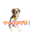 エブリデイ琳ちゃん（個別スタンプ：28）