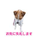 エブリデイ琳ちゃん（個別スタンプ：31）
