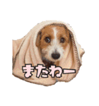 エブリデイ琳ちゃん（個別スタンプ：32）