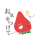 いちご たまに やさい（個別スタンプ：36）