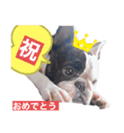 フレブル・それ行けそら太郎（個別スタンプ：6）
