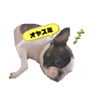 フレブル・それ行けそら太郎（個別スタンプ：15）