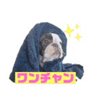 フレブル・それ行けそら太郎（個別スタンプ：19）