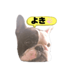 フレブル・それ行けそら太郎（個別スタンプ：24）