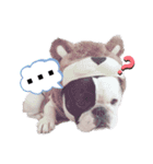 フレブル・それ行けそら太郎（個別スタンプ：26）