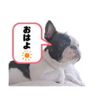 フレブル・それ行けそら太郎（個別スタンプ：28）