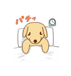 わをちゃんのスタンプ（個別スタンプ：2）