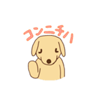 わをちゃんのスタンプ（個別スタンプ：4）